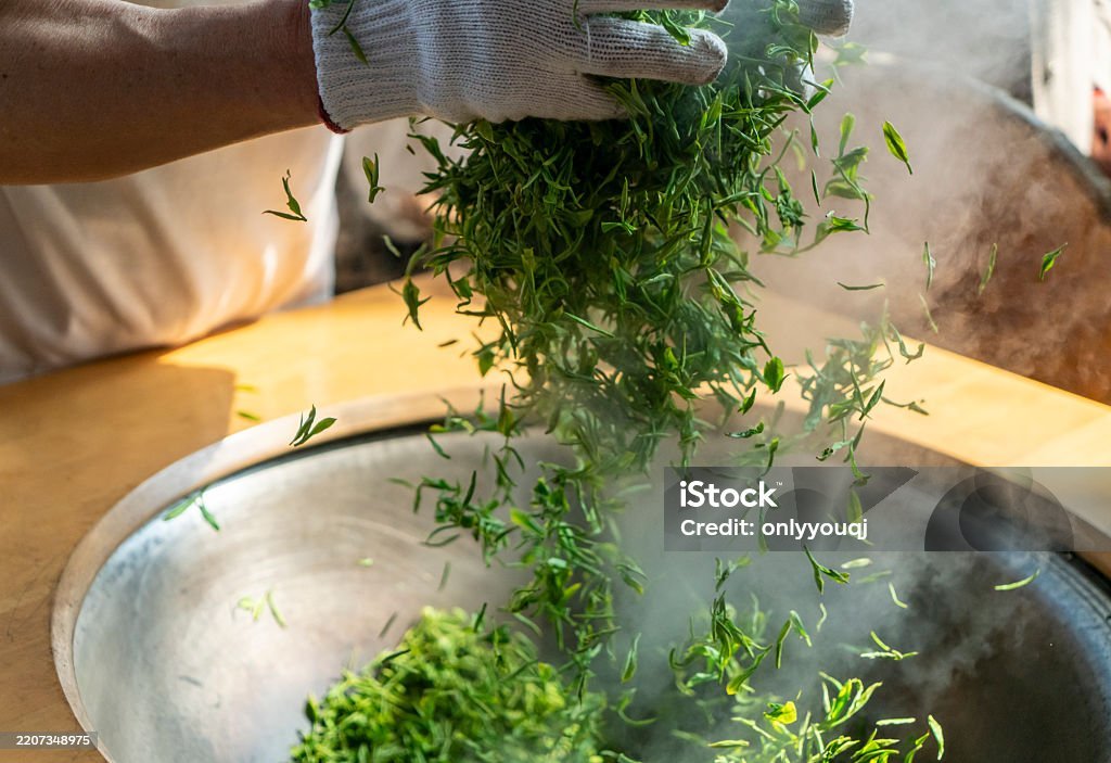 istockphoto-2207348975-1024x1024