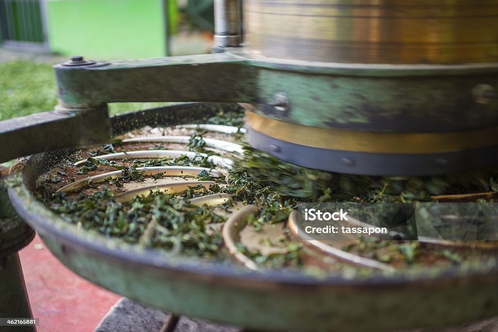 Green tea oven dryer machine
