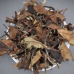 Ancestor Peony